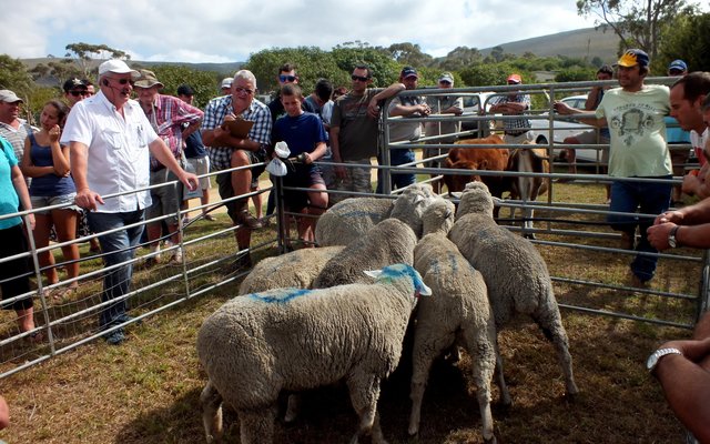 Gansbaai NGK Baardskeerdersbos 2015 Basaar 9